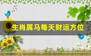 生肖属马每天财运方位-属马的财位方向与位置 属马人的财运方位